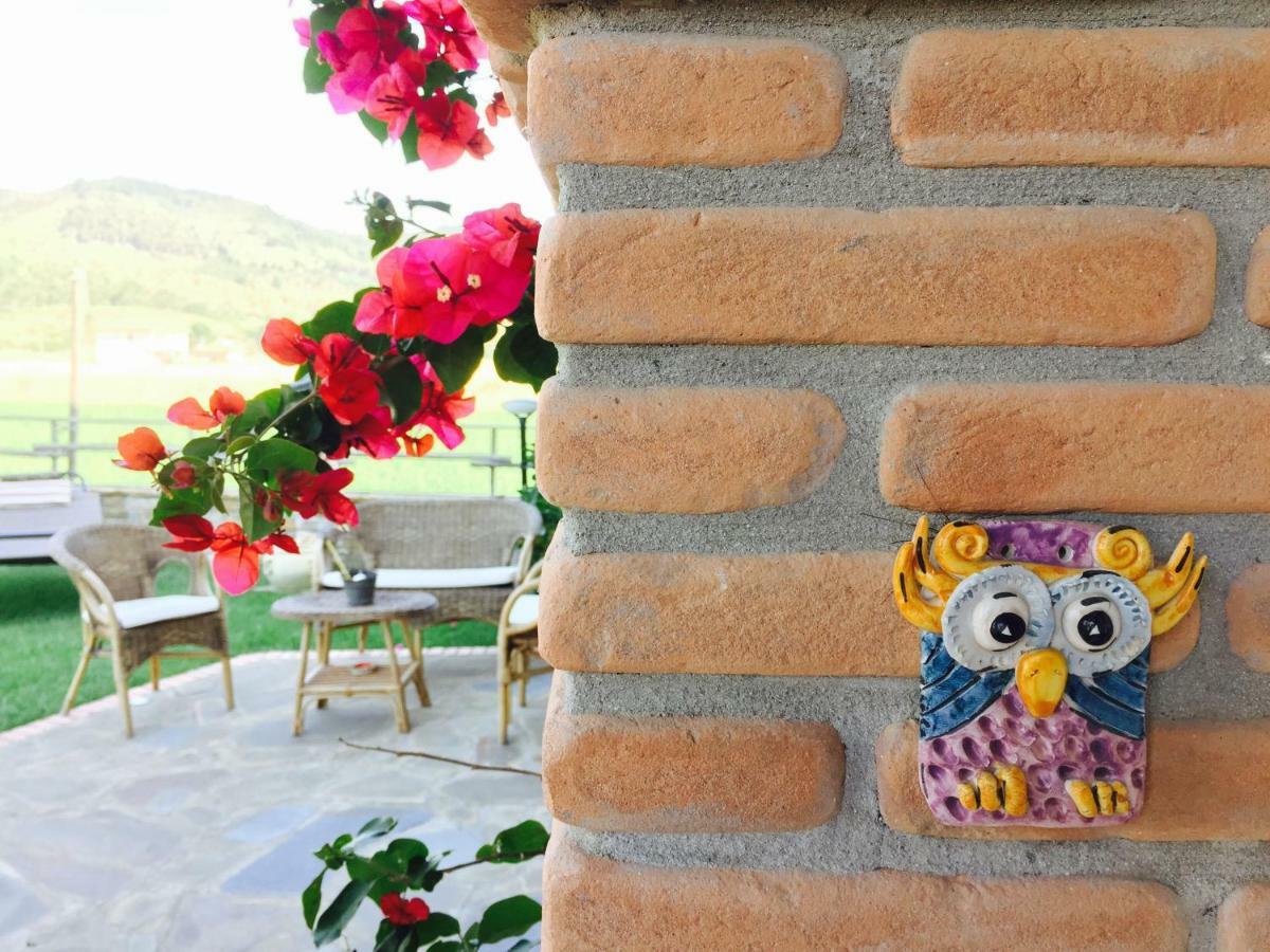 B&B La Nonnina Del Cilento Казал Велино Екстериор снимка