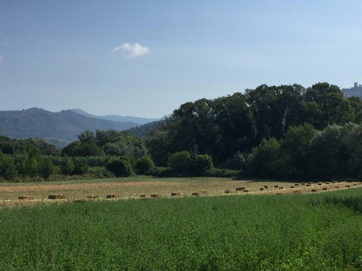 B&B La Nonnina Del Cilento Казал Велино Екстериор снимка