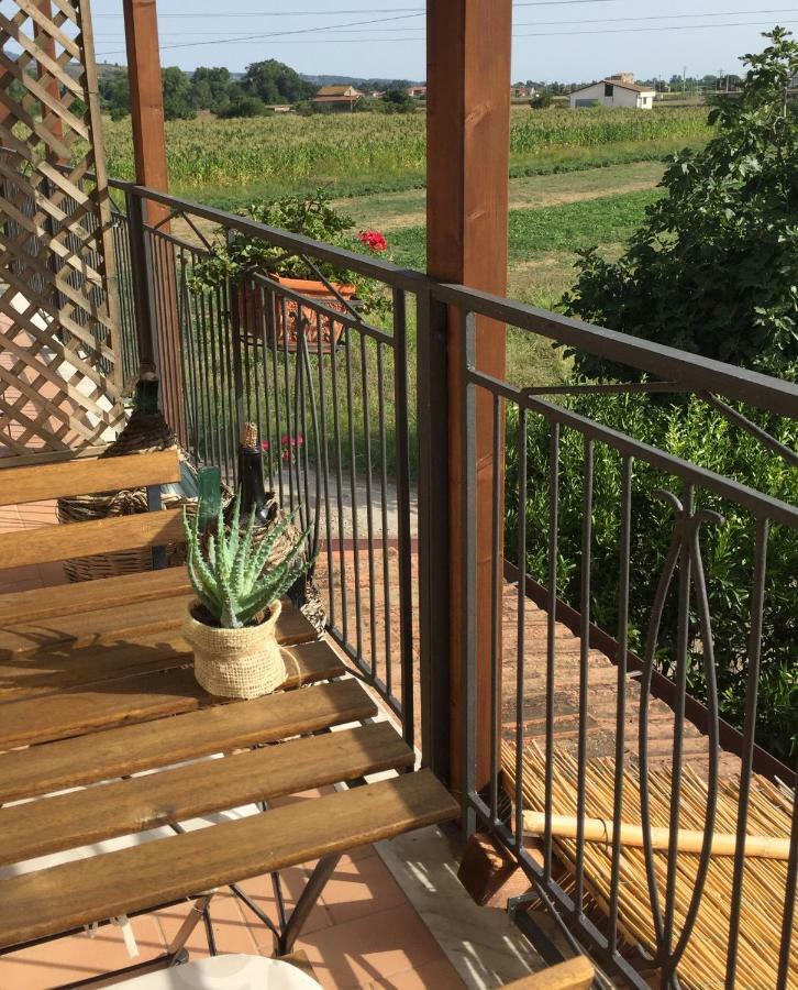 B&B La Nonnina Del Cilento Казал Велино Екстериор снимка
