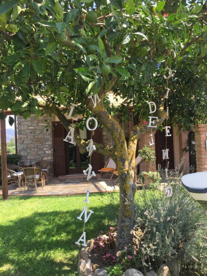B&B La Nonnina Del Cilento Казал Велино Екстериор снимка